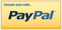 PayPal электронная платежная система